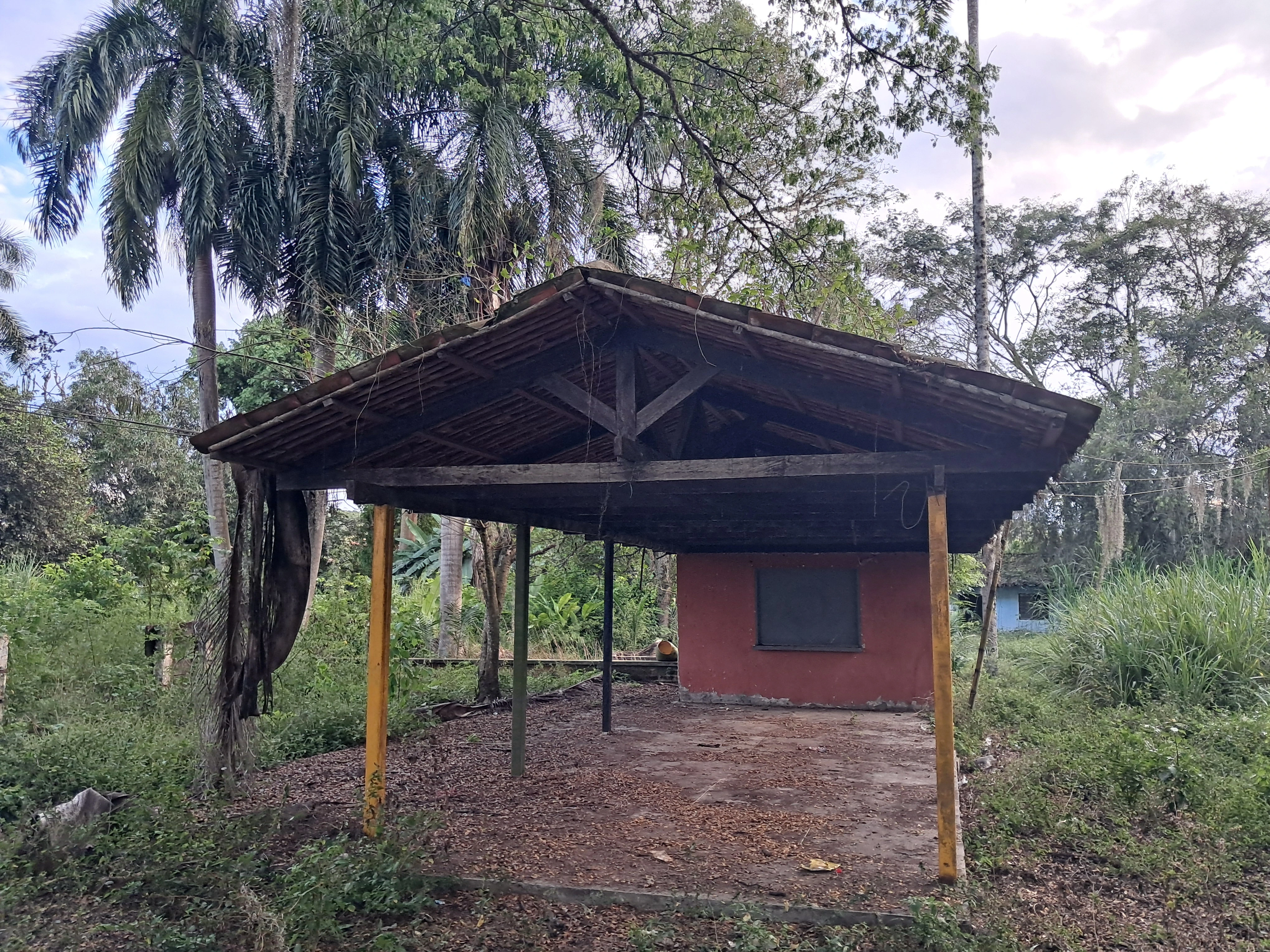 Comunidad trabajando